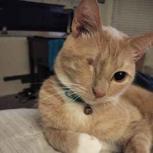 Meet your Posher, Marie